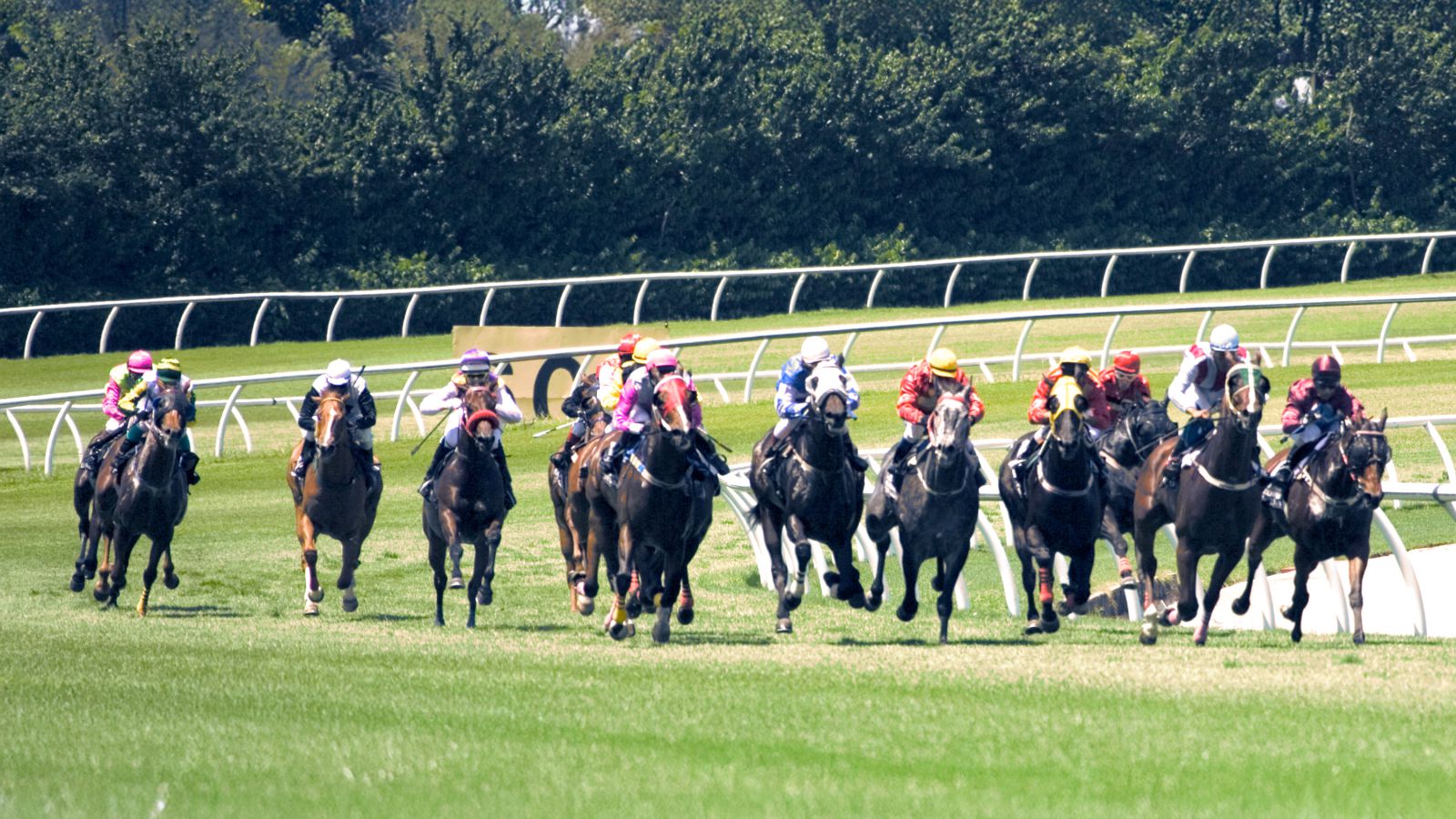 Event- & Veranstaltungsschutz für Rennbahnen & Pferdesport-Events